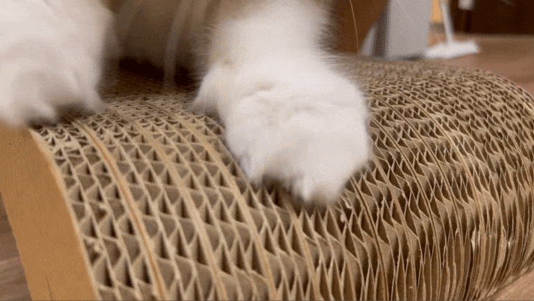 \NEW!/研ぎカスが出ないnyansの爪とぎ【無限型】