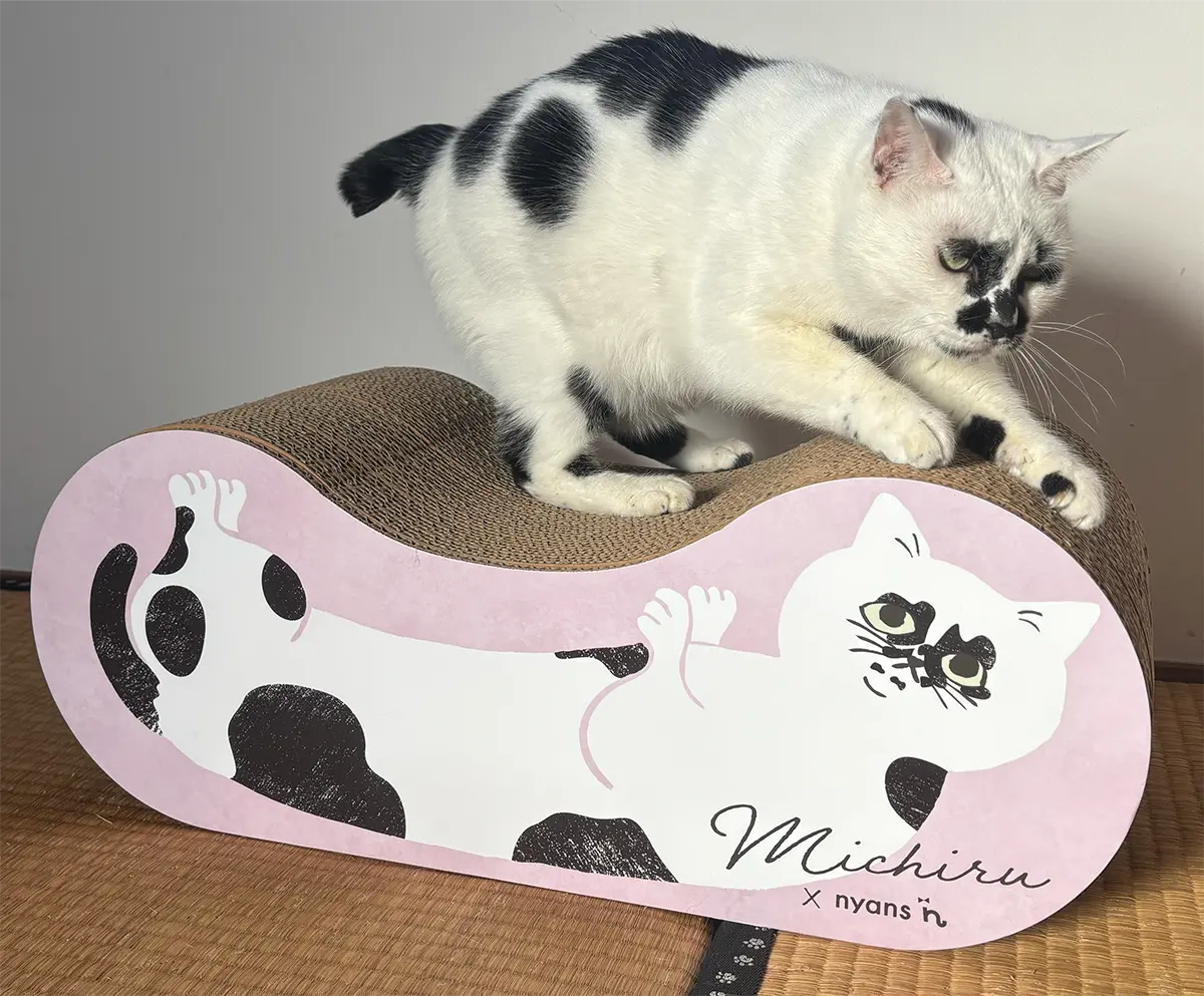 小さめ!猫目ルチルたん!かわいい! 小さめ!猫目ルチルたん!かわいい! ルチル 〜 The Lady cat