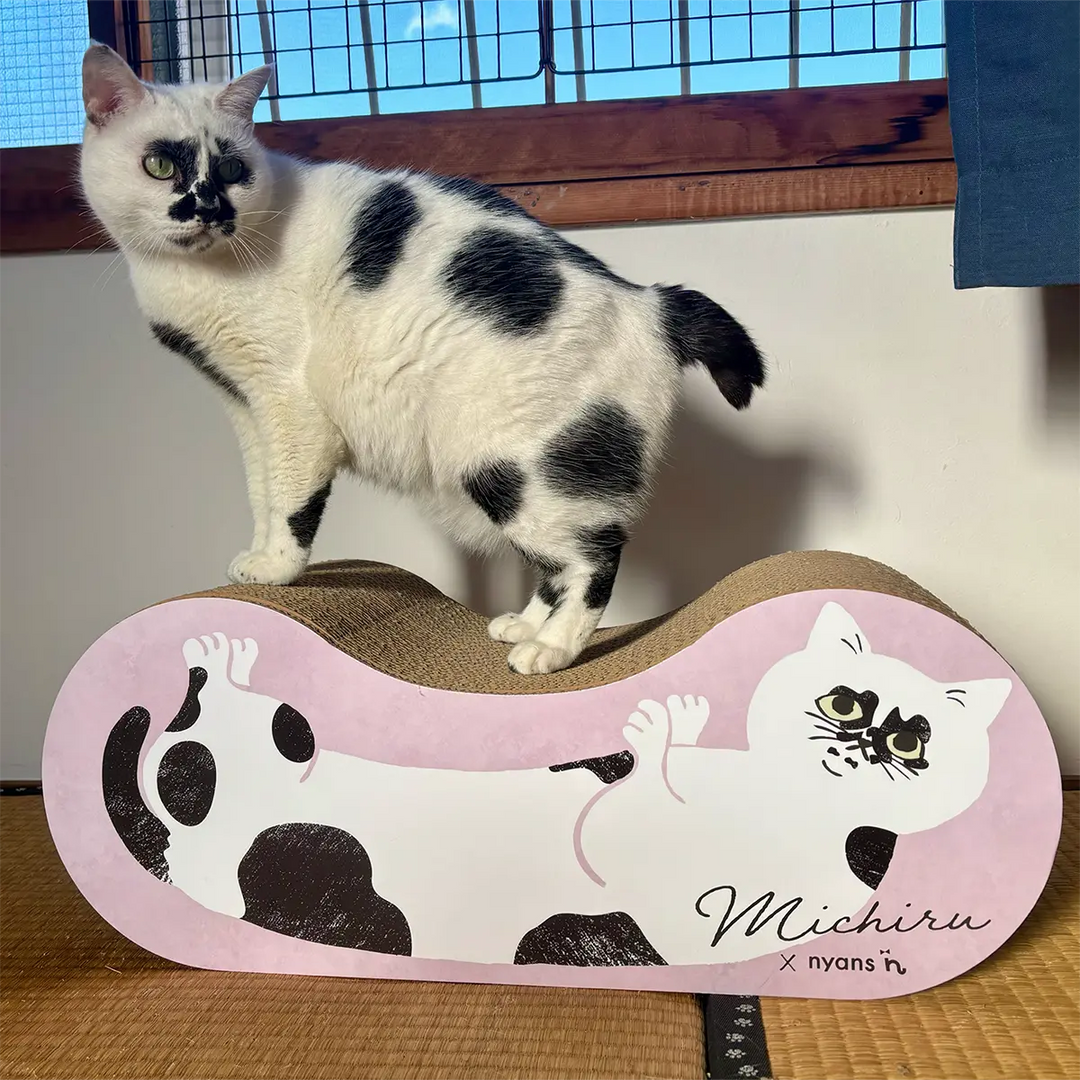 ねこにゃん nyansの爪とぎ/猫モデル【ミチルちゃん】 – nyans公式オンライン